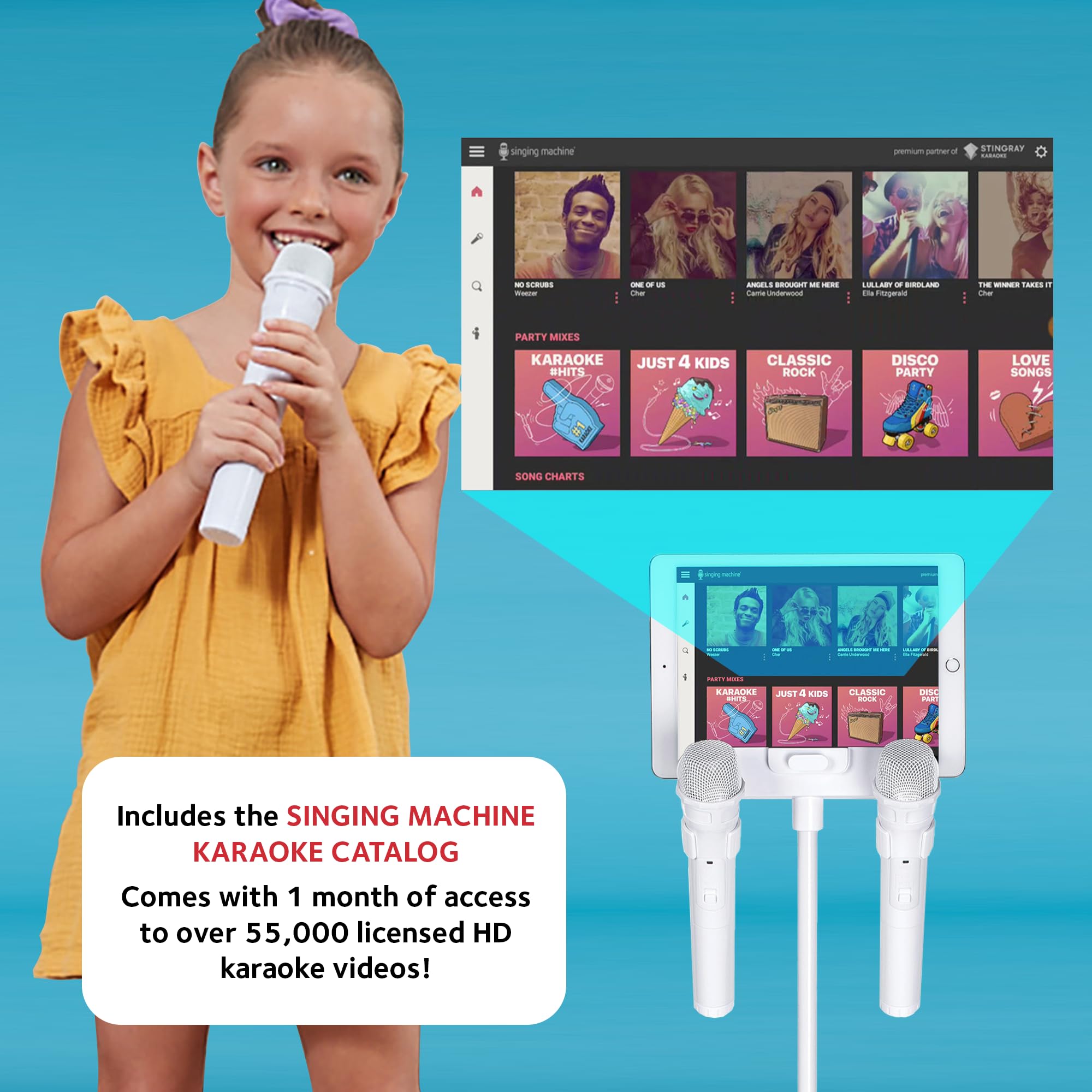 Amazon.com: Singing Machine Portable Karaoke Machine for Adults